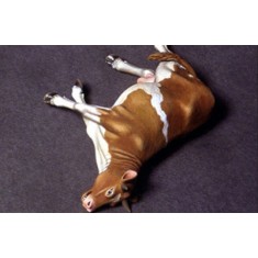 1/35 (54mm) Dead Cow 