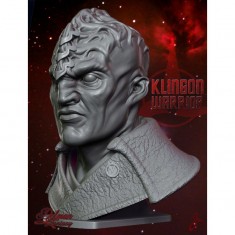 1/10 Klingon Warrior Bust