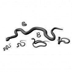 1/72 Miniature Animals - Assorted Snakes