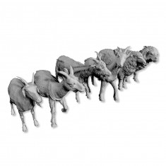 1/72 Goats and Sheep