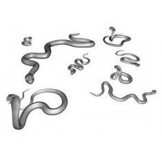 1/35 Animal Snakes (8pcs)