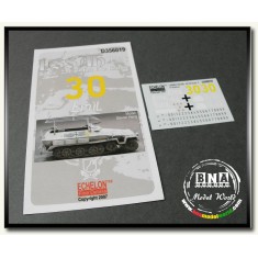 Decals for 1/35 LSSAH SdKfz.251/6 Ausf C in Kharkov