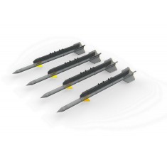 1/72 Mikoyan-Gurevich MiG-21 R-3R Missiles for Eduard kits