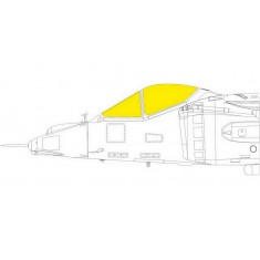 1/48 Hawker Siddeley AV-8A Harrier TFace Paint Masking for Kinetic kits