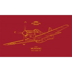 1/72 US P-51D Mustang Fighter Dual Combo [Royal Class Edition]
