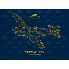 1/48 RAAF Curtiss P-40E Warhawk Dual Combo [Royal Class]