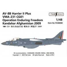 1/48 AV-8B+ Harrier II Decal - VMA-231 Afghanistan 2009