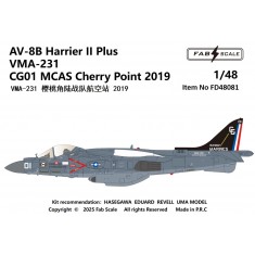 1/48 AV-8B+ Harrier II Decal - VMA-231 2019