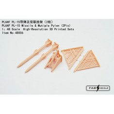 1/48 PLAAF PL-15 Missile and Multiple Pylon (2pcs)