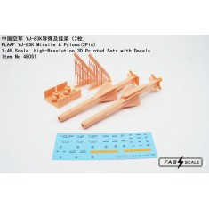 1/48 PLAAF YJ-83K Missile and Pylons (2pcs)