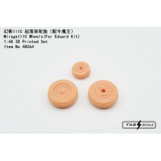 1/48 Mirage IIIC Wheels for Eduard Kit