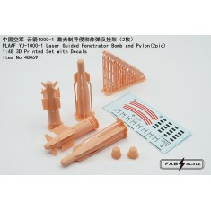 1/48 PLAAF YJ-1000-1 Laser-Guided Penetrator Bomb and Pylon (2pcs)