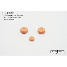 1/48 F-16 Fighting Falcon Heavyweight Wheels