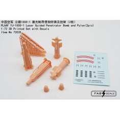1/72 PLAAF YJ-1000-1 Laser-Guided Penetrator Bomb and Pylon (2pcs)