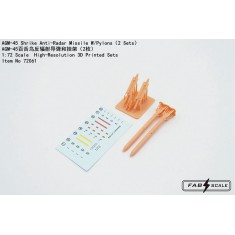 1/72 AGM-45 Shrike Anti-Radar Missile w/ Pylons