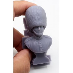 Scots Guard Bust (70mm, 3D Printed)