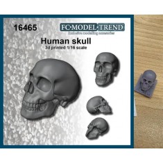 1/16 Human Skull