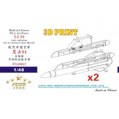 1/48 Modern Chinese PLA Air Force YJ-91 Anti-radiation Missile with Pylons (2 pcs)