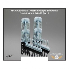 1/48 PMBR (practice multiple Bomb rack) Loaded with BDU-33 (2pcs)
