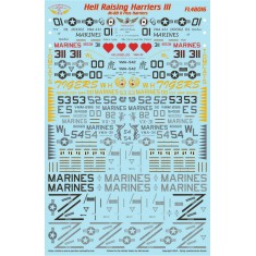 1/48 Hell Raising Harriers III Decal - AV-8B II Plus Markings for Hasegawa/Uma kits