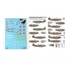 1/48 Red Snake: Soviet P-39 Airacobras, Part 1 (Stencils not included) Decals