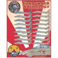 Decals for 1/72 Grumman F-14A Tomcat " VF-111 Sundowners Anthology"