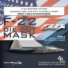 1/48 F-22 Raptor Fighter Camouflage Mask for Hasegawa #52293 Kit