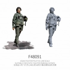 1/48 Asian Fighter Pilot #4