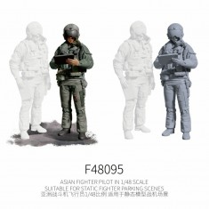 1/48 Asian Fighter Pilot #8