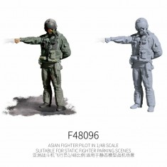 1/48 Asian Fighter Pilot #9