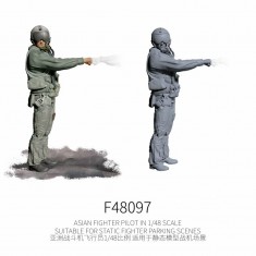 1/48 Asian Fighter Pilot #10