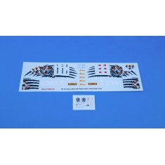 1/48 Mi-35 Czech AF NATO Tiger Meet 2011 Mask n Decals for Zvezda 4813