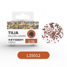 1/35 Tilia Fallen Leaves