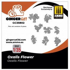 1/35 Oxalis Flowers (8pcs)