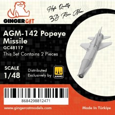 1/48 AGM-142 Popeye Air-to-Surface Missiles (2pcs)
