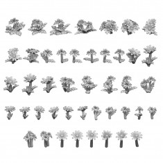 1/48-1/35 Resin Daisy and Dandelion for Dioramas (3D Printed)