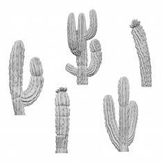 1/48-1/35 Resin Saguaro Cactus XL for Dioramas (3D Printed)