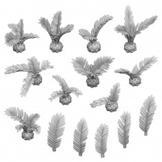 1/48-1/35 Resin Small Palms for Dioramas (3D Printed)