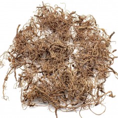 Natural Diorama Tree Roots for Miniature Trees, Branches and Vines