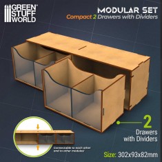 Compact Horizontal Organizer with 2 Double Drawers (30 x 14 x 8.2cm)
