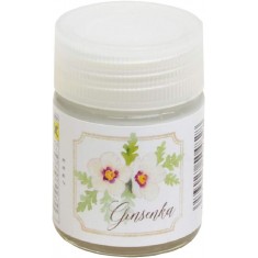 Classy 'n Dressy Aqueous Hobby Colour - Ginsenka (18ml)