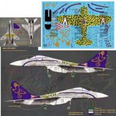 Decals for 1/48 MiG-29 2008 Jubileumi