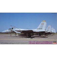1/72 F-15J Eagle "Mystic Eagle IV 204SQ Part.1"