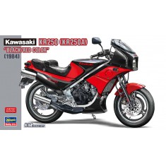 1/12 Kawasaki KR250 (KR250A) Black/Red Colour