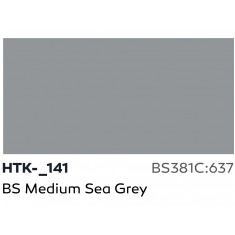 Acrylic Paint for Brush - BS Medium Sea Grey #BS381C:637 (17ml)