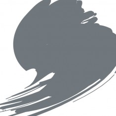 Lacquer Paint - Dark Gull Grey #FS36231 ANA 621 (17ml)
