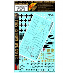 1/48 Focke-Wulf Fw-190A (early) Stencils & Markings (wet transfer decals) 