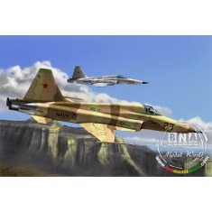 1/72 F-5E Tiger II Fighter