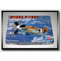 1/72 Messerschmitt Bf-109G-2/Trop
