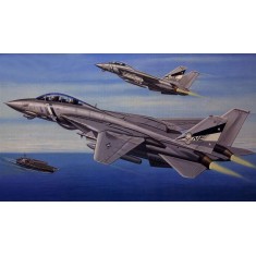 1/72 Grumman F-14D Super Tomcat